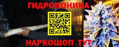 mix Новодвинск