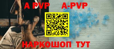 СК Новокубанск