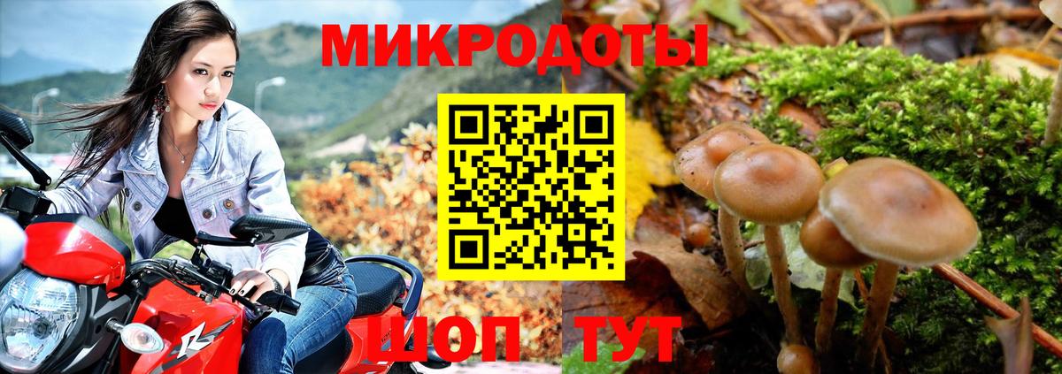 Галлюциногенные грибы Cubensis Тара