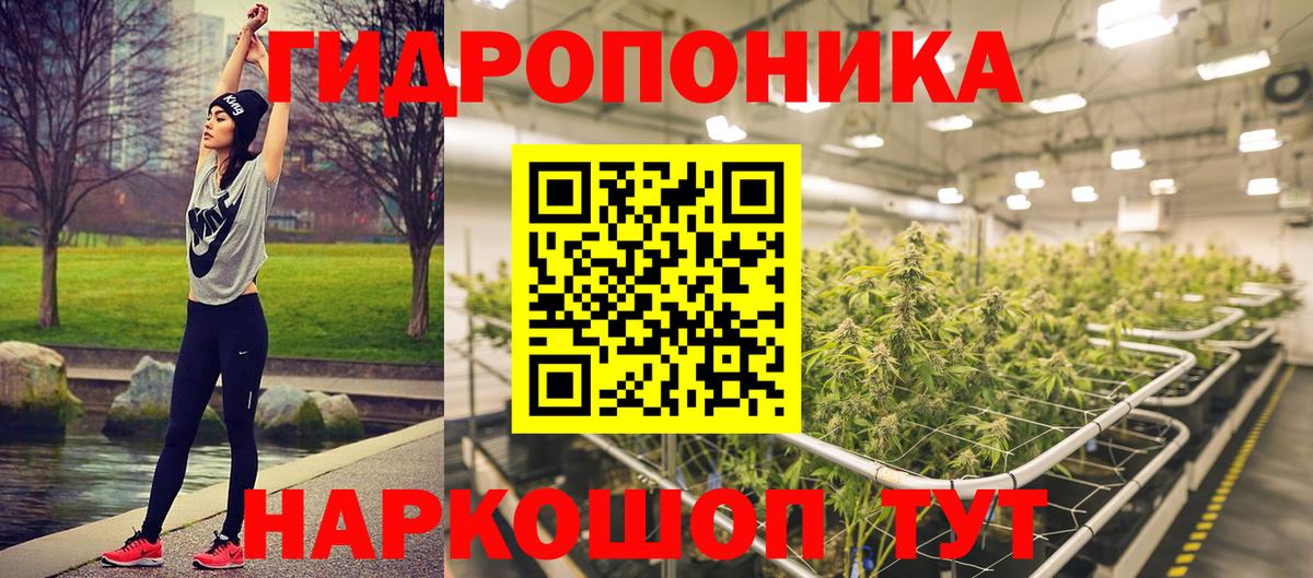 Конопля Bruce Banner  Конопля тримм  Вход с VPN  Шишки марихуана марихуана  Тара 